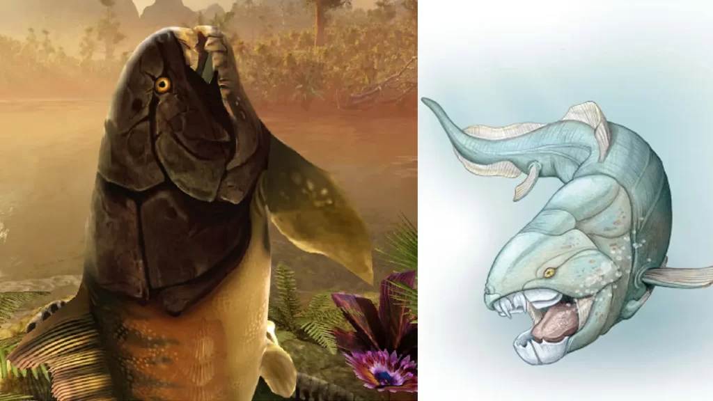 DUNKLEOSTEUS